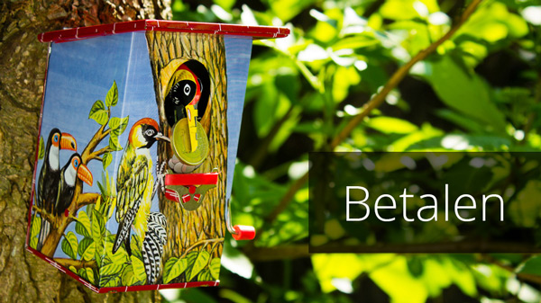 Betalen